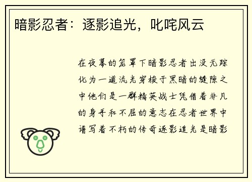 暗影忍者：逐影追光，叱咤风云